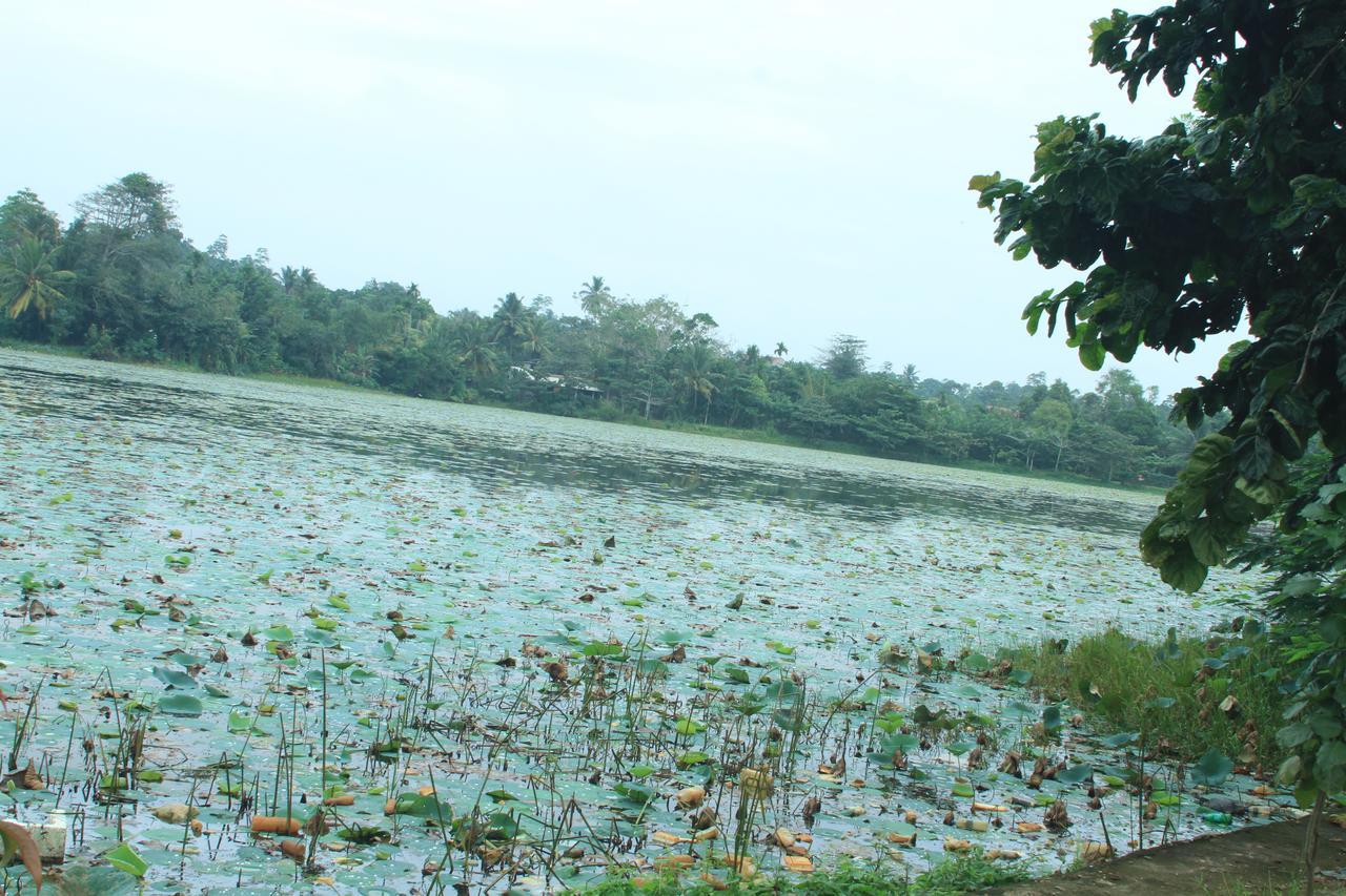 Lake View Villa Mirissa Buitenkant foto