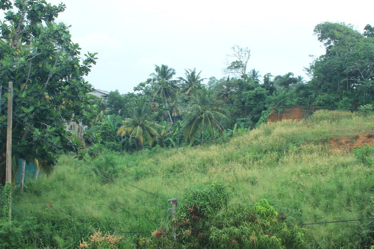 Lake View Villa Mirissa Buitenkant foto